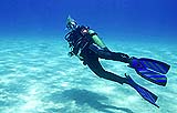 Taucher News bei Divers-Travel-Guide (tm) Taucher News bei Divers-Travel-Guide (tm)