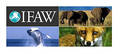 IFAW (c) IFAW (c)